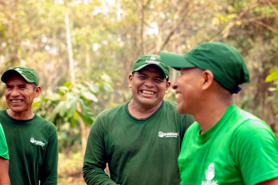 manteca de copoazu para la piel | manteca de copoazu propiedades aceite de castaña precio | aceite de castaña propiedades