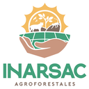 Brazil Nut Oil Price: Worth the Investment?
